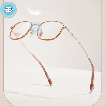 Gọng kính kim loại mã 6110